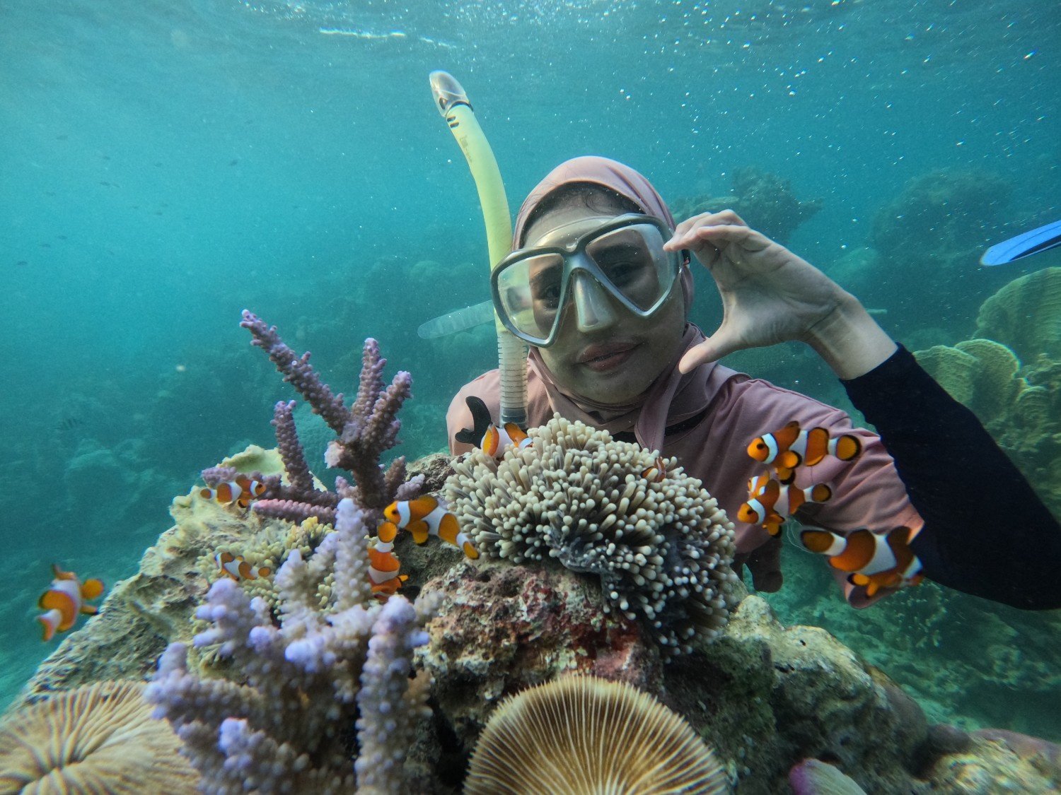 Snorkeling saat trip laut