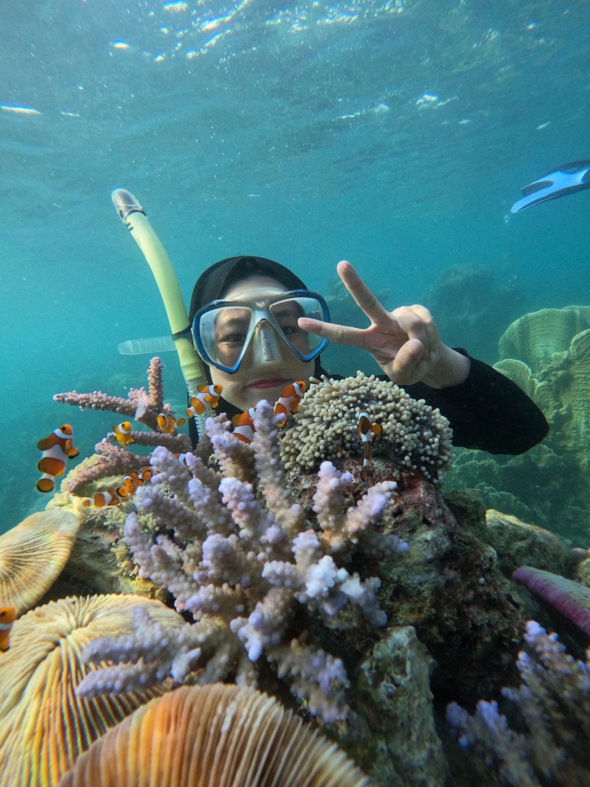 Open Trip Nemo