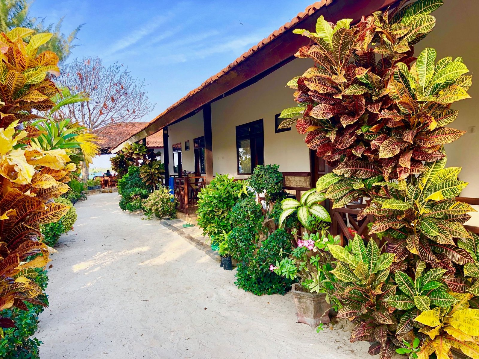 Blue Laguna In